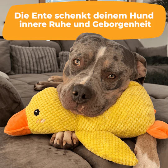 Anti Stress Ente- Bestseller