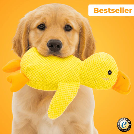 Anti Stress Ente- Bestseller